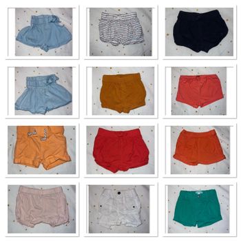 Lot 12 short