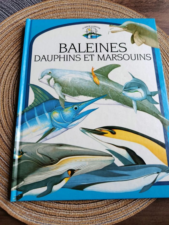 Oiseaux et baleines - photo numéro 4