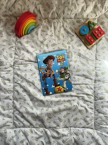 livre Disney Toy story 2 collection France loisirs