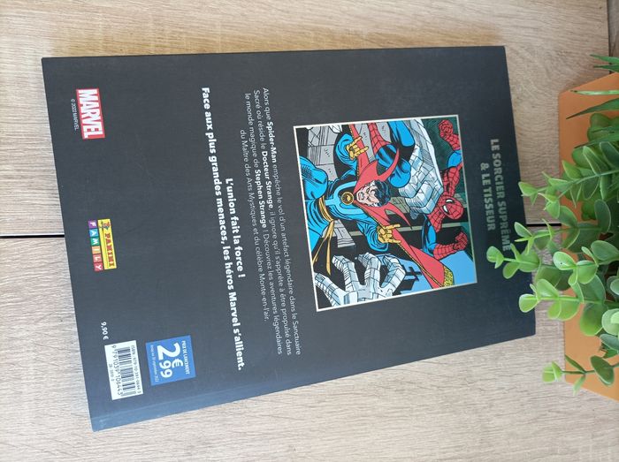 Album comics Marvel Spider-Man et Doctor Strange Les grandes alliances - photo numéro 3