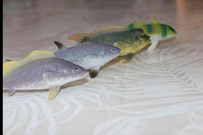 lot poissons - photo numéro 3