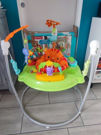 Jumperoo Jungle