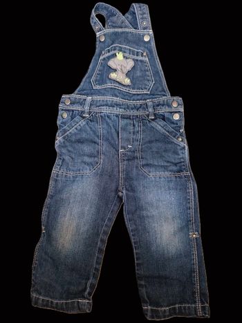 Salopette Les Petits Cailloux 18 mois