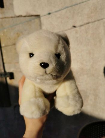 Ourson