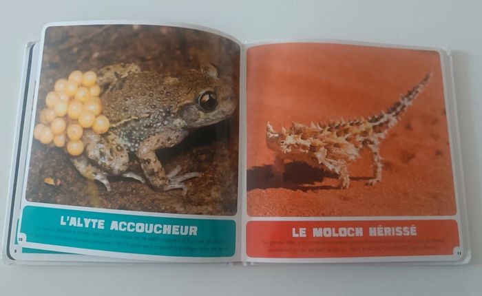 Les animaux incroyables - photo numéro 3