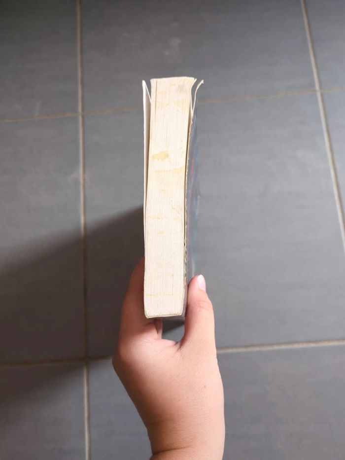 Livre la fille du diable - photo numéro 6