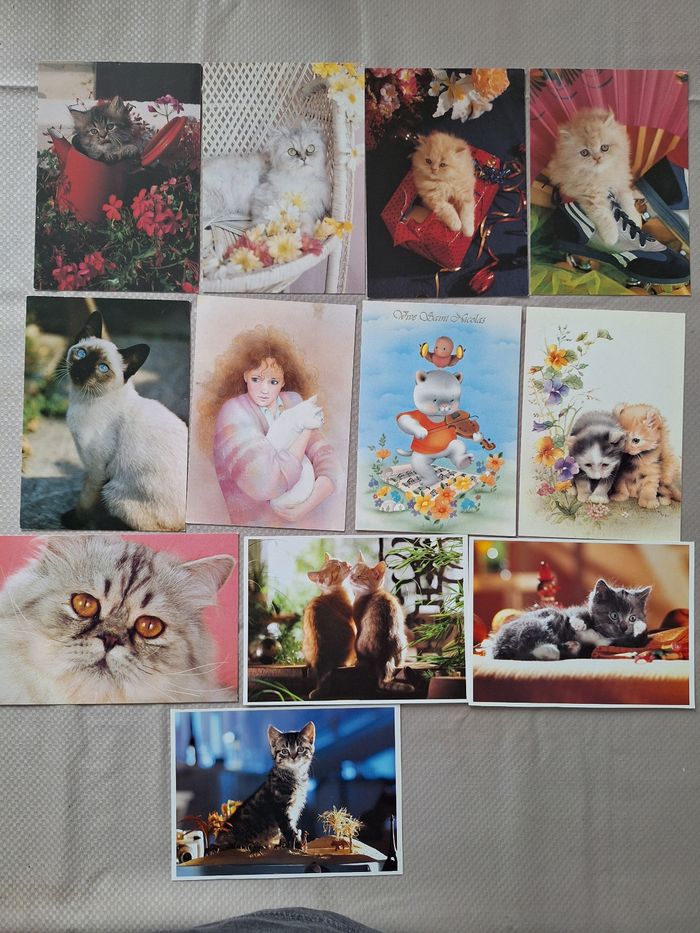 Lot de 66 cartes postales thème chats - photo numéro 5