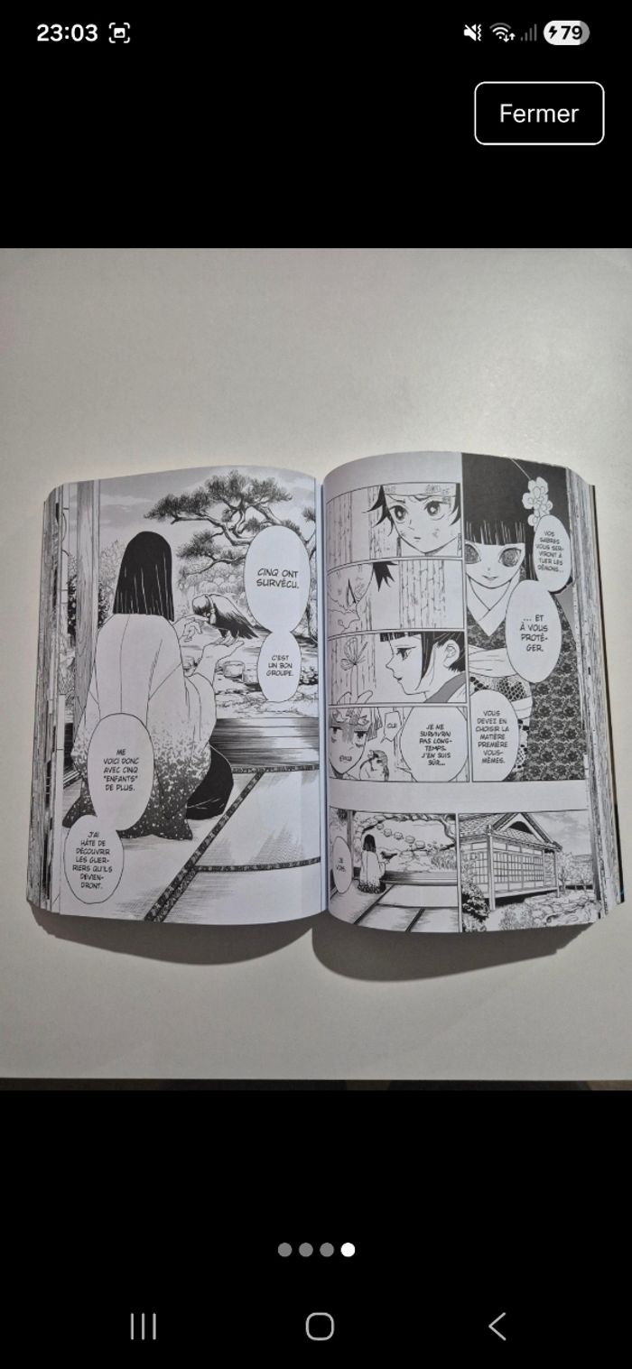 Demon Slayer - photo numéro 4