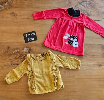 Lot de tee-shirts manches longues fille 