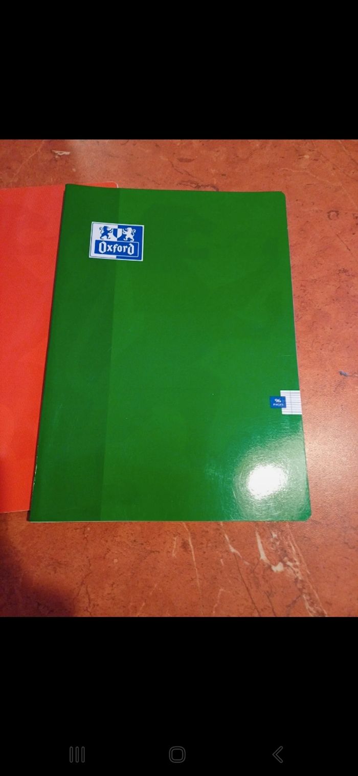 Lot de 2 cahiers oxford 21 / 29.7 cm - photo numéro 2