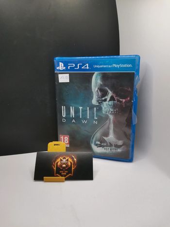 Jeu ps4 until dawn