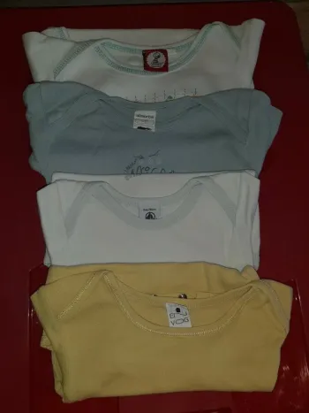 Lot de 4 bodies manches courtes 23 mois- 2 ans