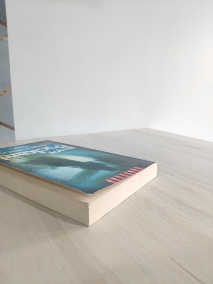 Livre grand format la vierge de small plains Pickard - photo numéro 4