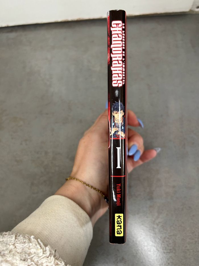 Manga la légende de l’immortel Chandrahas - photo numéro 4