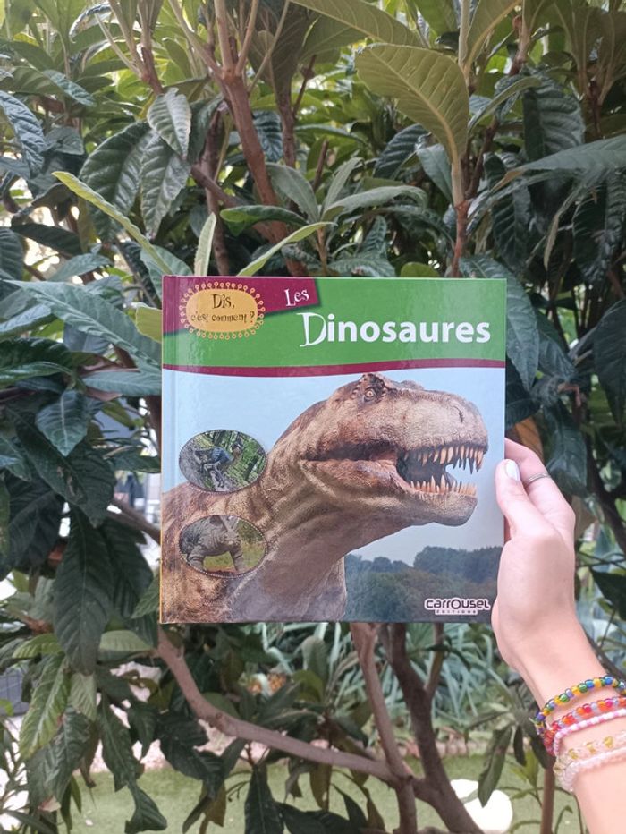 Livre les dinosaures édition carrousel.