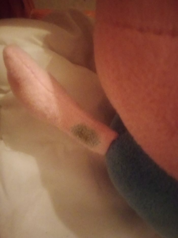 Peluche - photo numéro 2