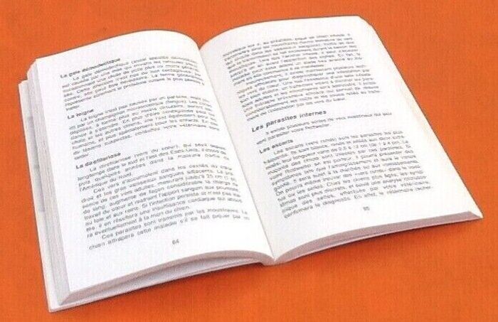 Martin Eylat Vous et votre Rottweiller - photo numéro 4