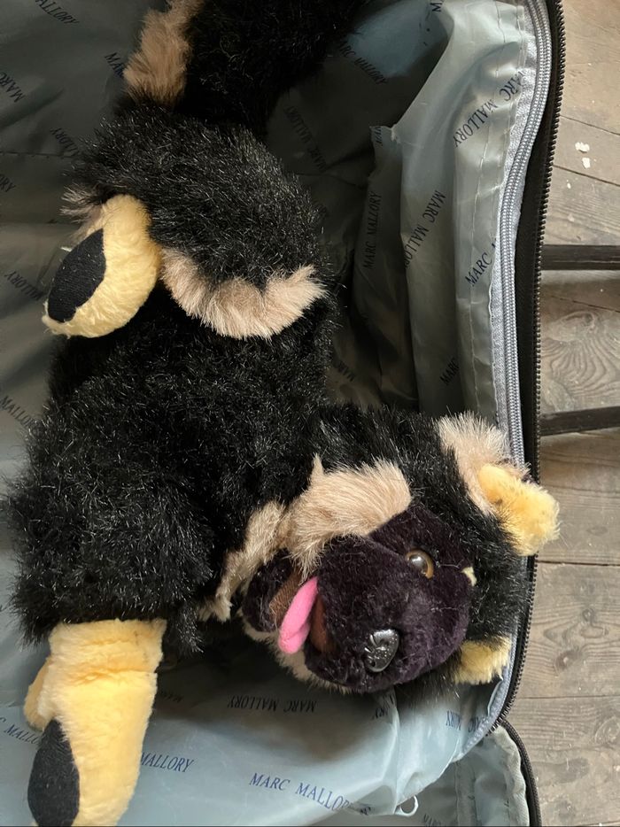 Peluche chien - photo numéro 2