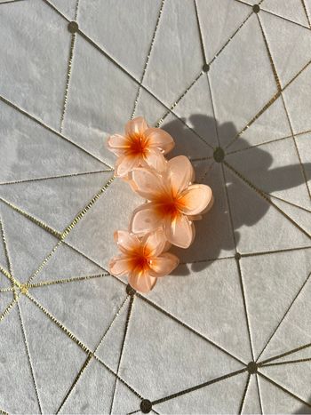 Pince à cheveux fleurs