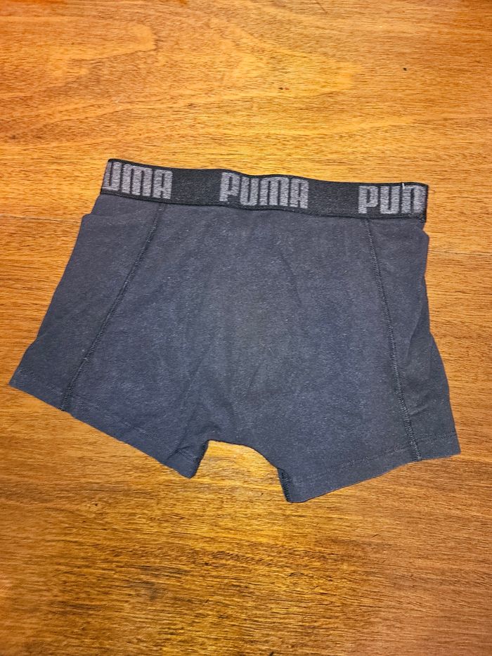 4 Boxer puma - photo numéro 6