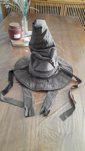 Le Choixpeau Magique Interactif – Harry Potter