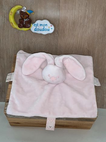 NT99 doudou lapin 🐰 Nattou