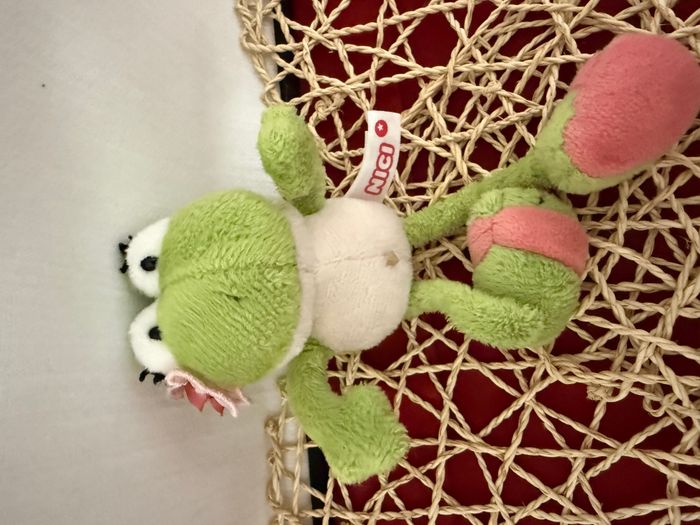 Nici Frog Jolly  grenouille