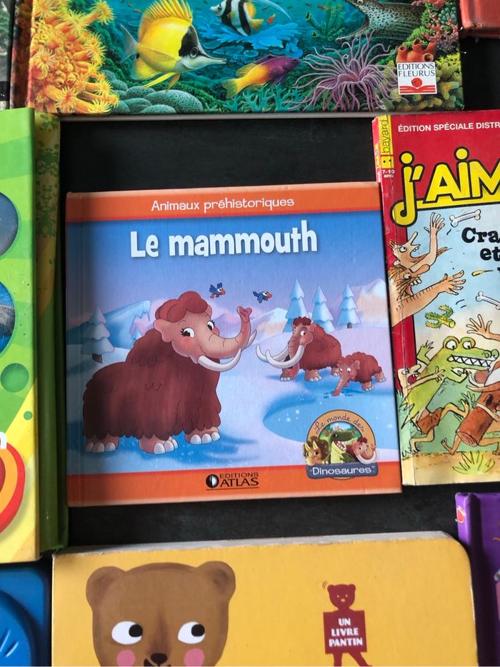 Lot de livres - photo numéro 6