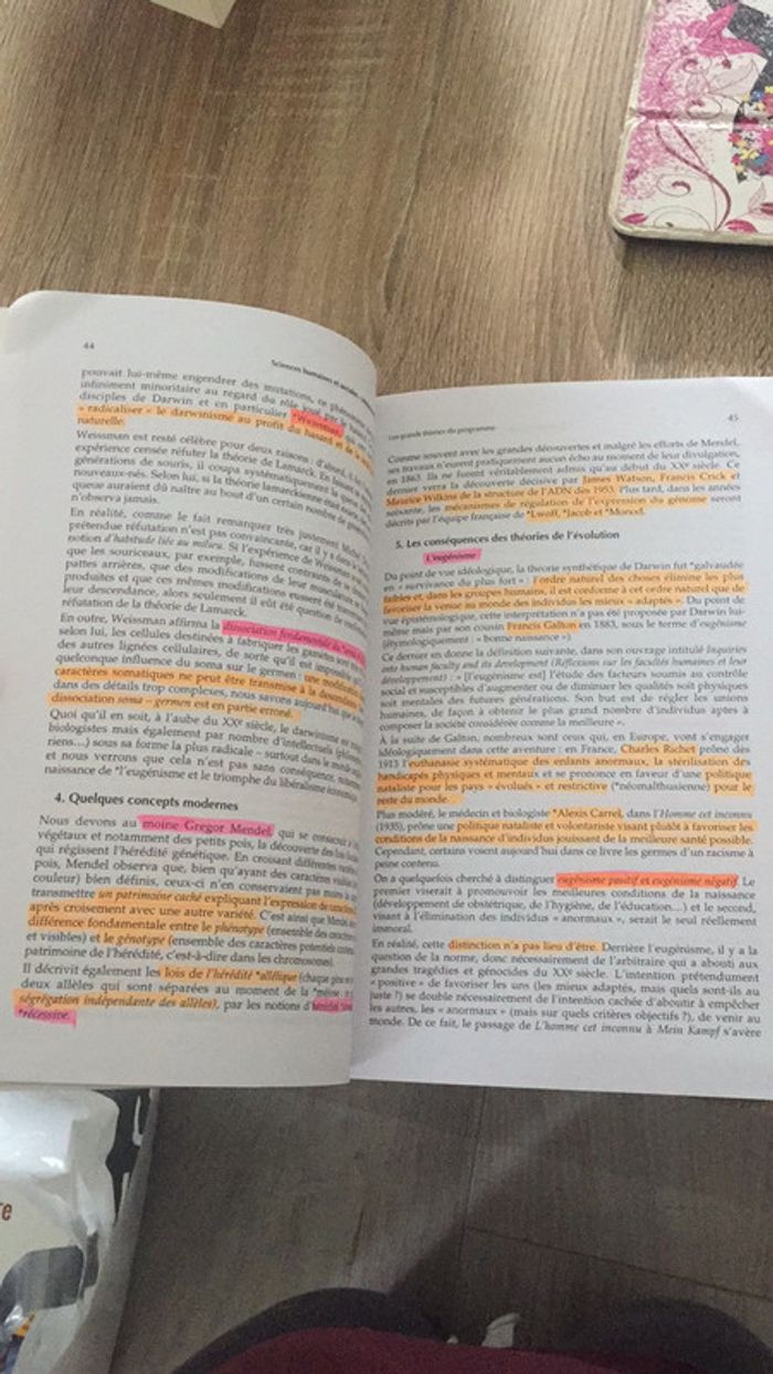 Médecine et pharmacie, les clefs pour réussir - photo numéro 3
