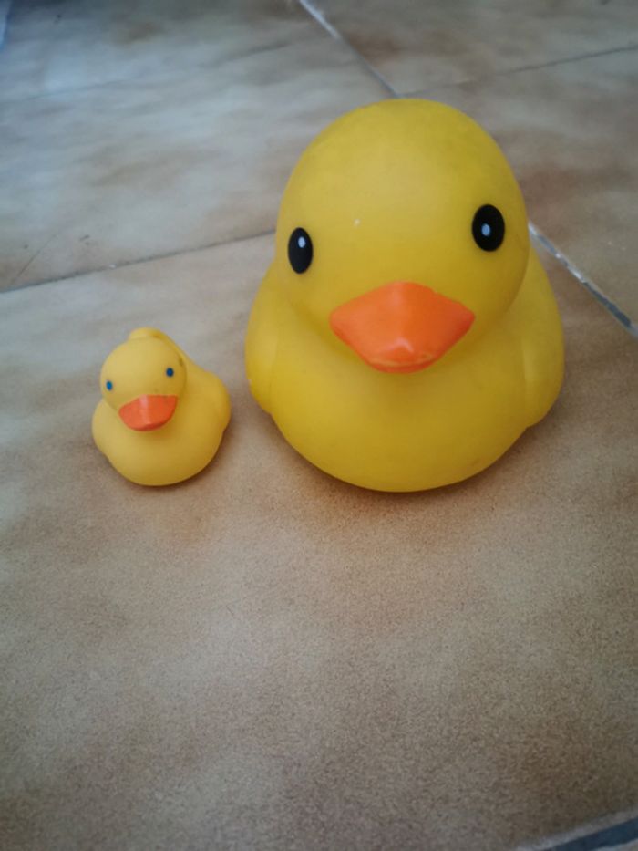 2 canards - photo numéro 2