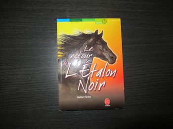 Livre Le Retour de l'étalon noir Walter Farley ISBN 2013212917