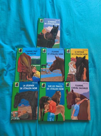 Lot de 7 livres l'étalon noir