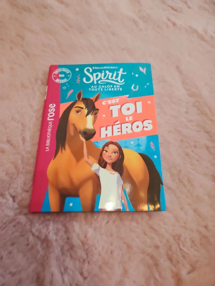 Spirit  c'est toi le héros