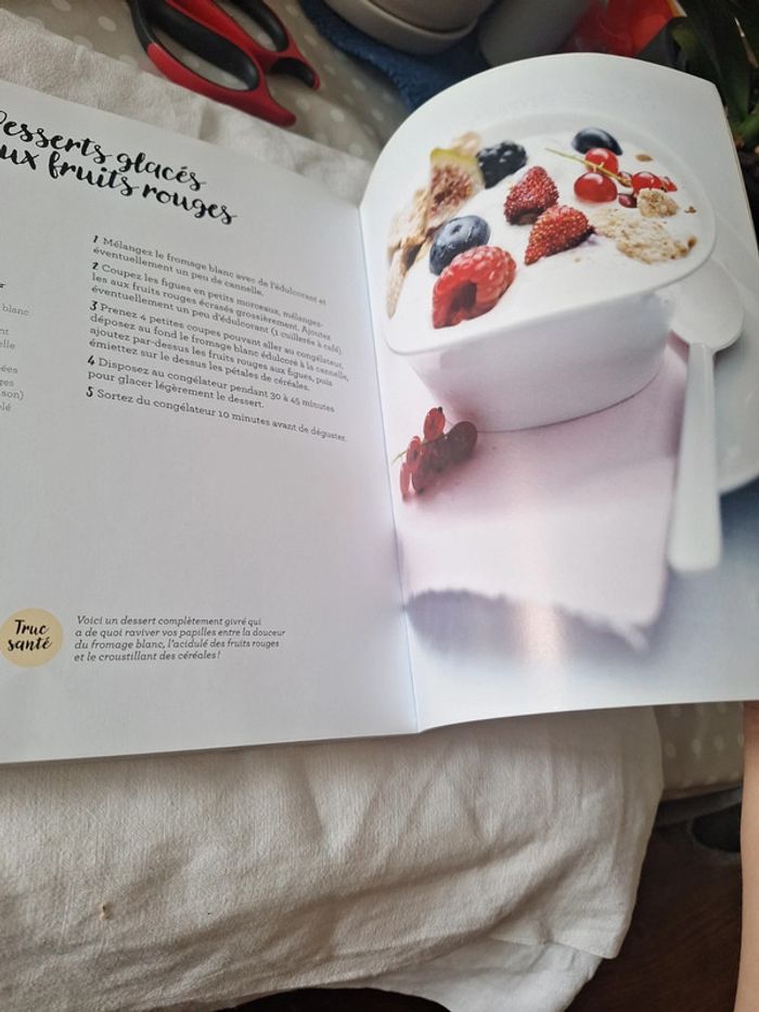 Livre de recette mes dessert leger - photo numéro 6