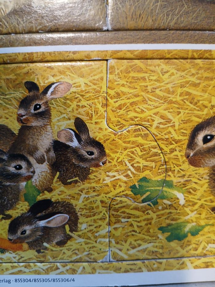 Jeu "Maman et ses petits" - photo numéro 3