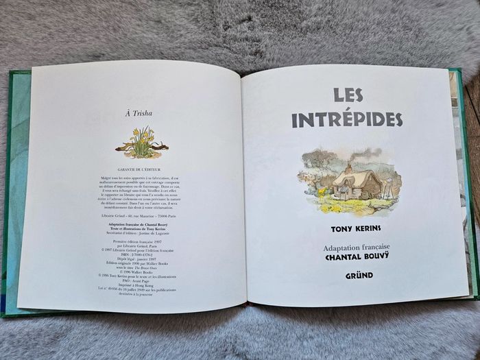 Livre Les intrépides de Tony Kerins - photo numéro 2