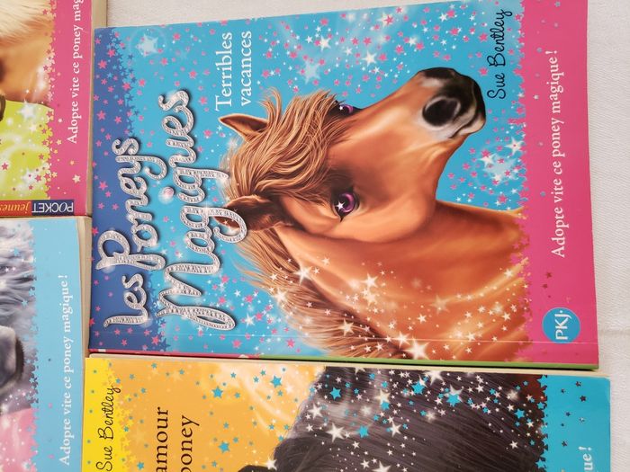 Lot Les Poneys Magiques - photo numéro 6