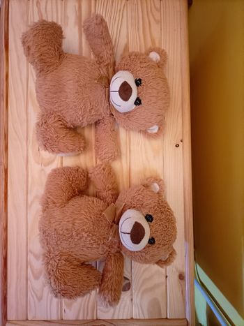 Lot de 2 oursons jumeaux ultra doux - 24 cm