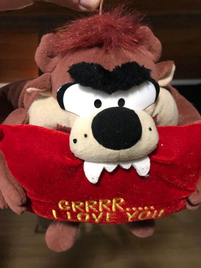 Peluche Looney Tunes Taz i Love you - photo numéro 5