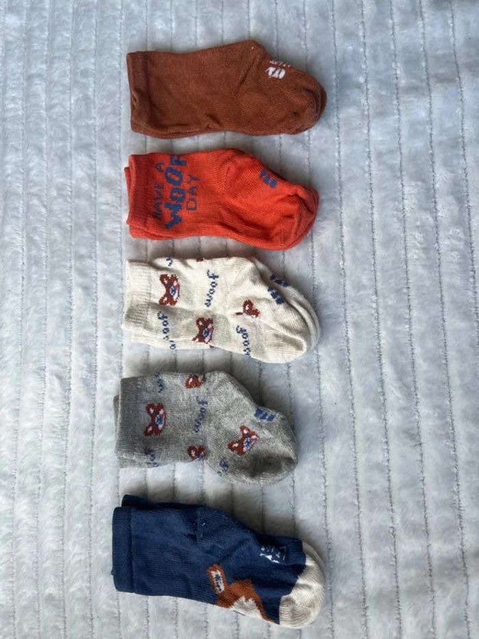 Lot de 5 paires de chaussettes TAO 15/17