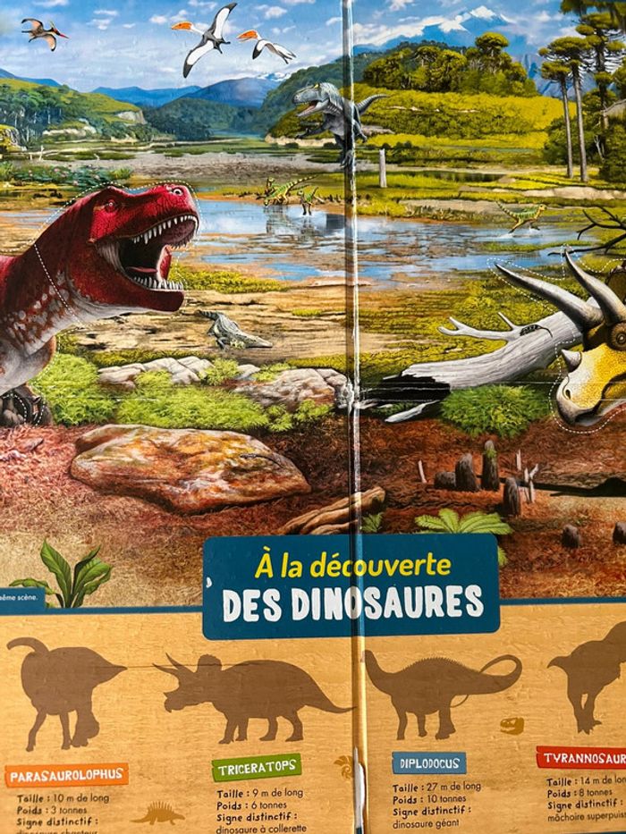À la découverte des dinosaures - photo numéro 5