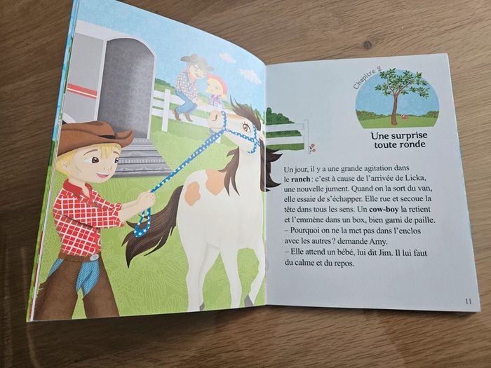 Livre Le joli poulain d'Amy - photo numéro 3