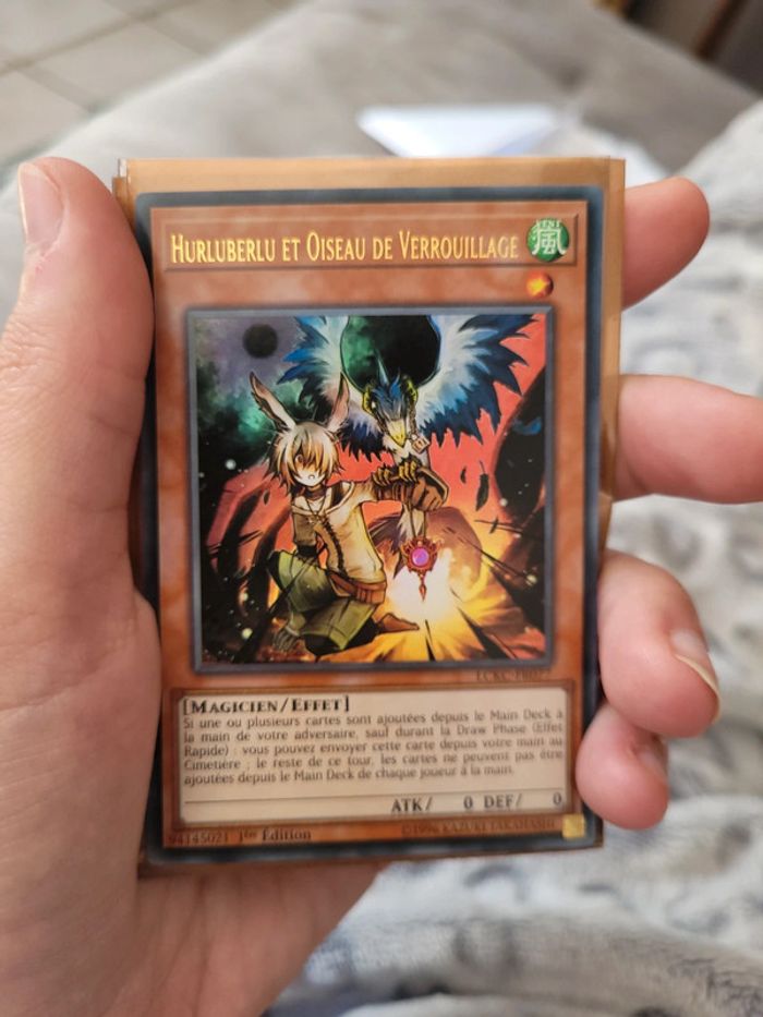 Hurluberlu et oiseau de verrouillage