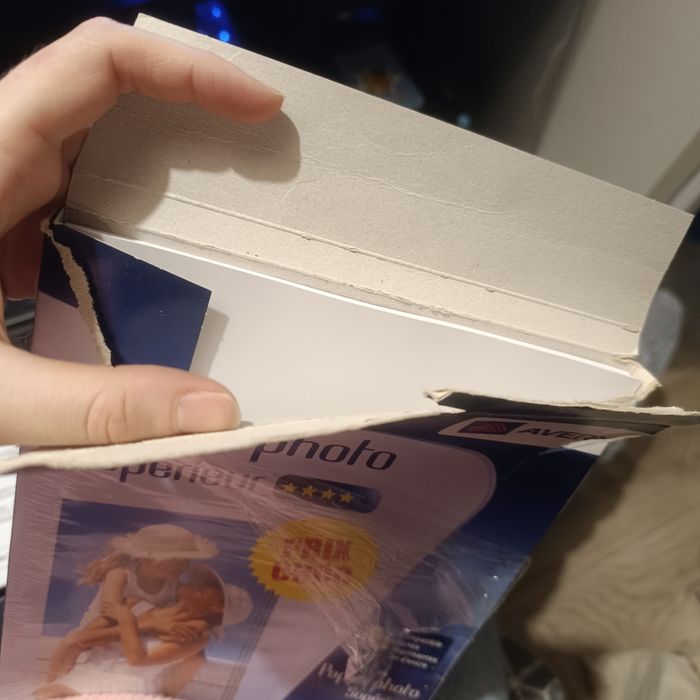 Feuilles pour photo - photo numéro 4