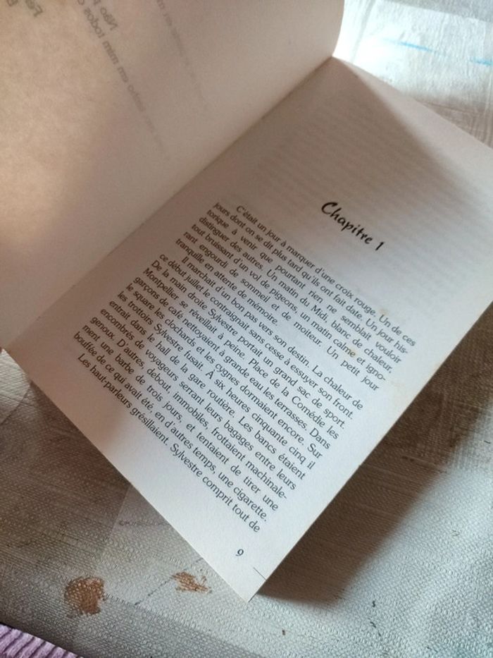 La mer de la tranquillité - photo numéro 4