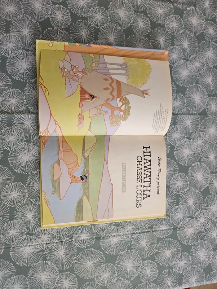 Livre Hiawatha chasse l'ours - photo numéro 3