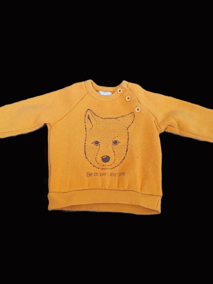 Pull Mes Petits Cailloux 12 mois