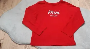 Tee-shirt ML rouge "mini trésor " 36 mois pat & ripaton état neuf