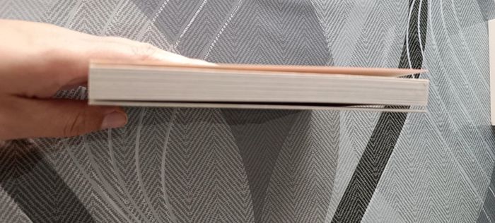 Livre chair de poule - photo numéro 4