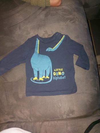 T shirt dinosaure